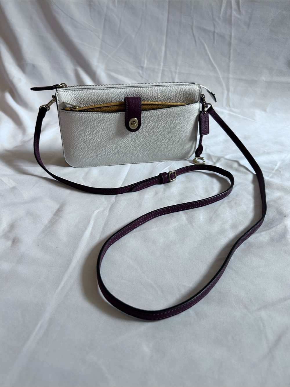 Coach Small Leather Crossbody
